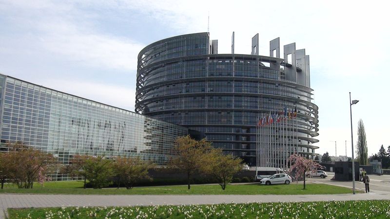 © Nguyễn Tấn Đại